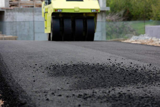 Best Local Driveway Pavers  in Williamstown, WV