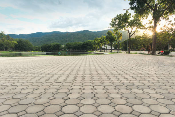 Best Professional Driveway Pavers  in Williamstown, WV