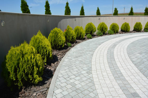 Best Driveway Pavers Near Me  in Williamstown, WV